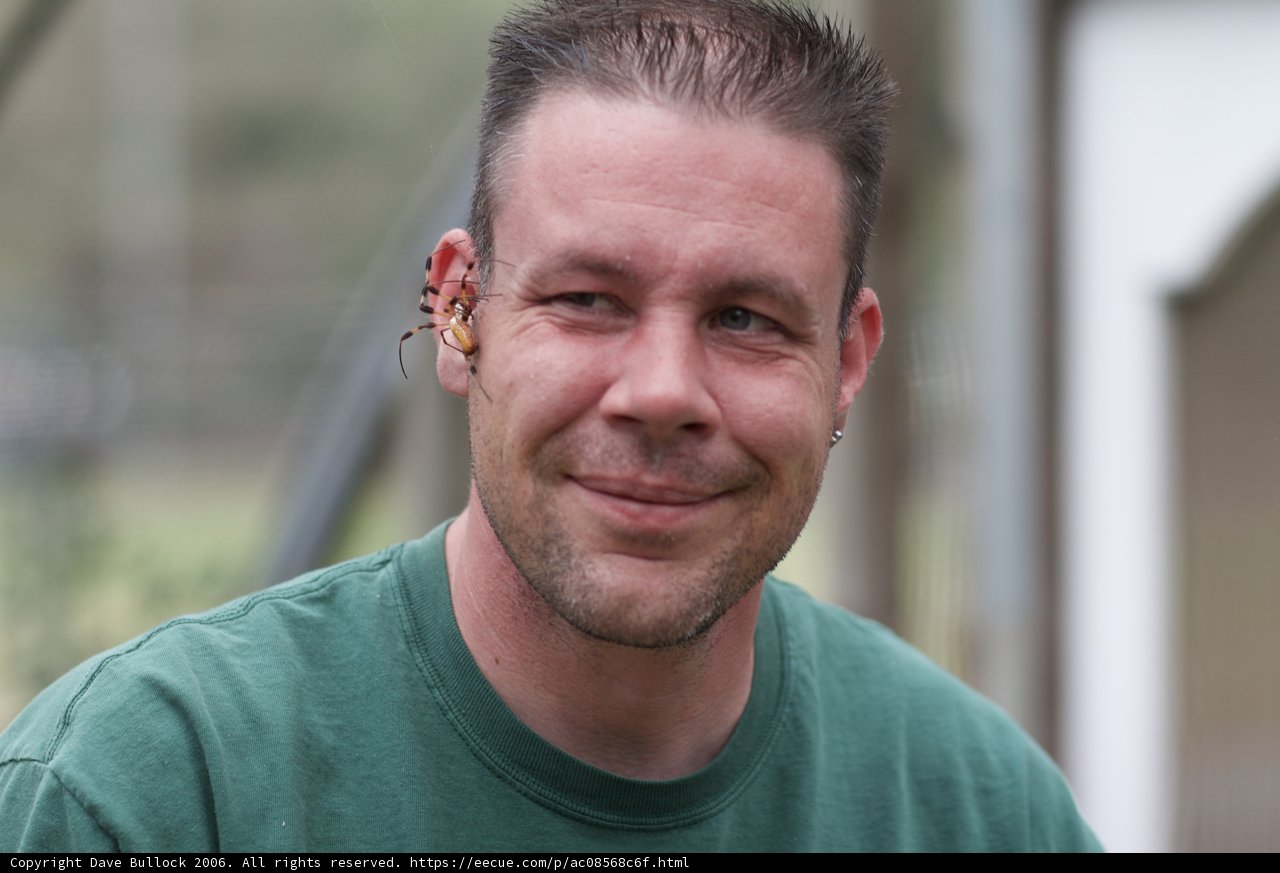 Green-Shirted Man with Intriguing Expression