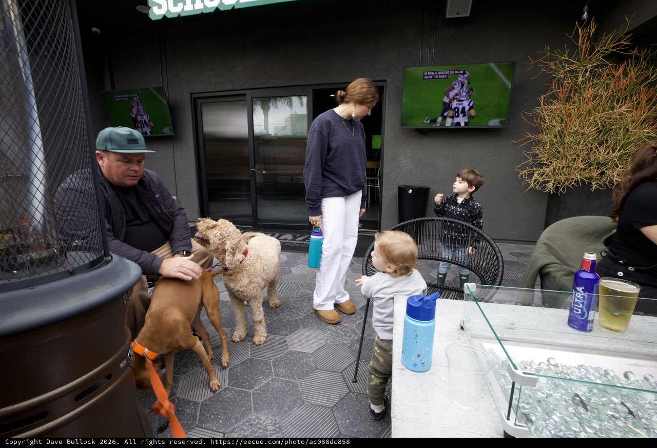 Family Gathering at Modern Outdoor Patio with Dogs