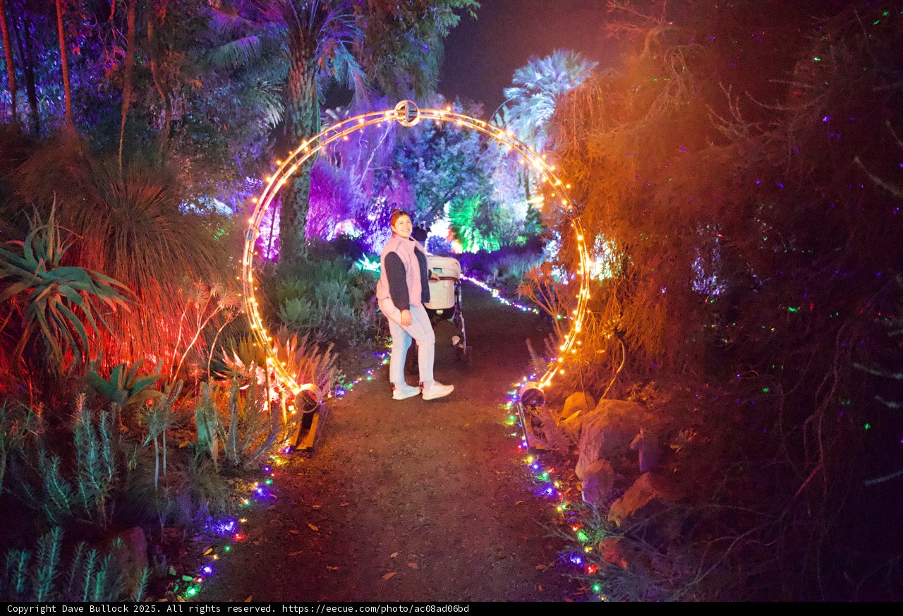 Enchanted Pathway at Garden of D’Lights