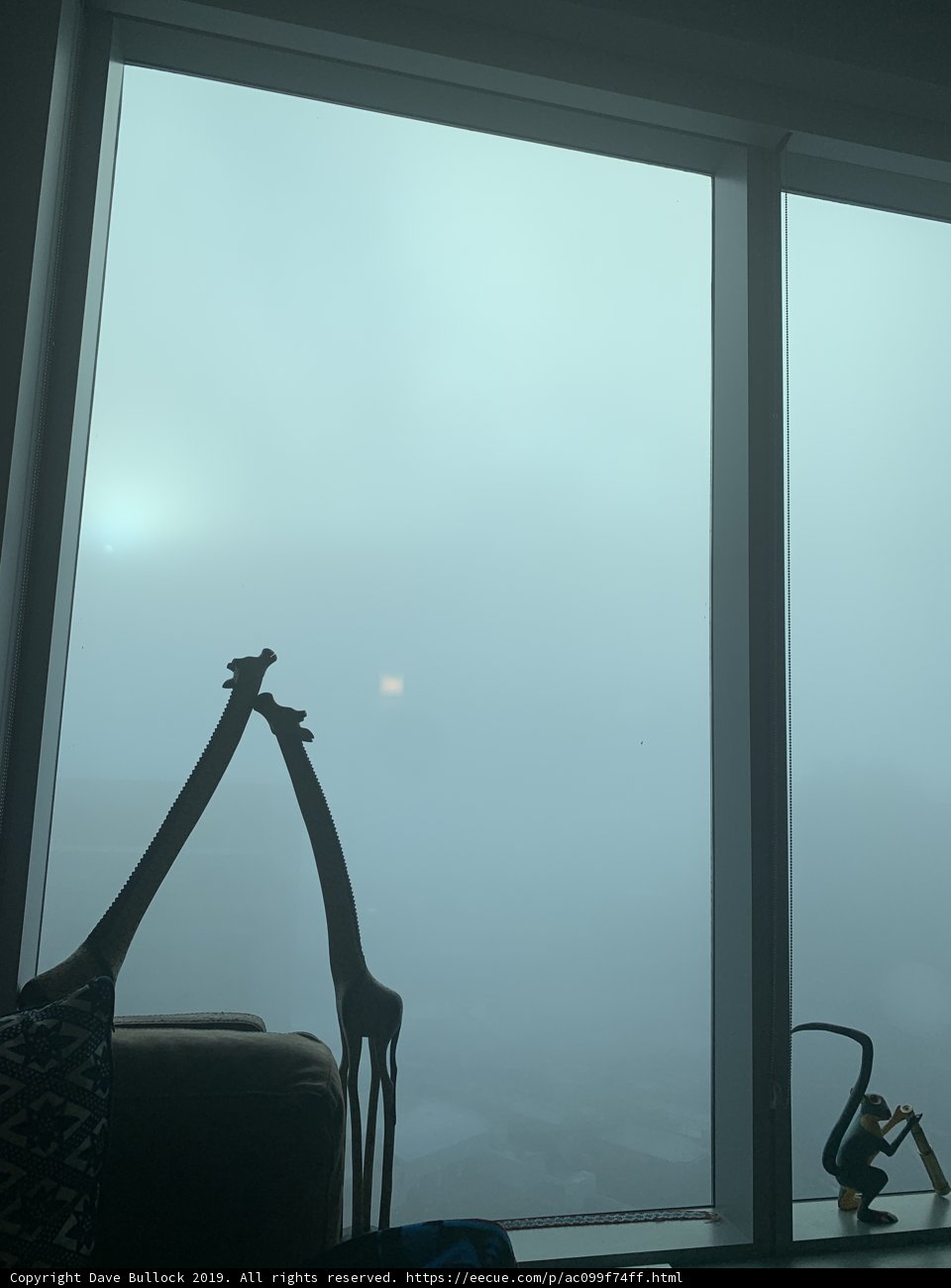 Giraffe at the Window