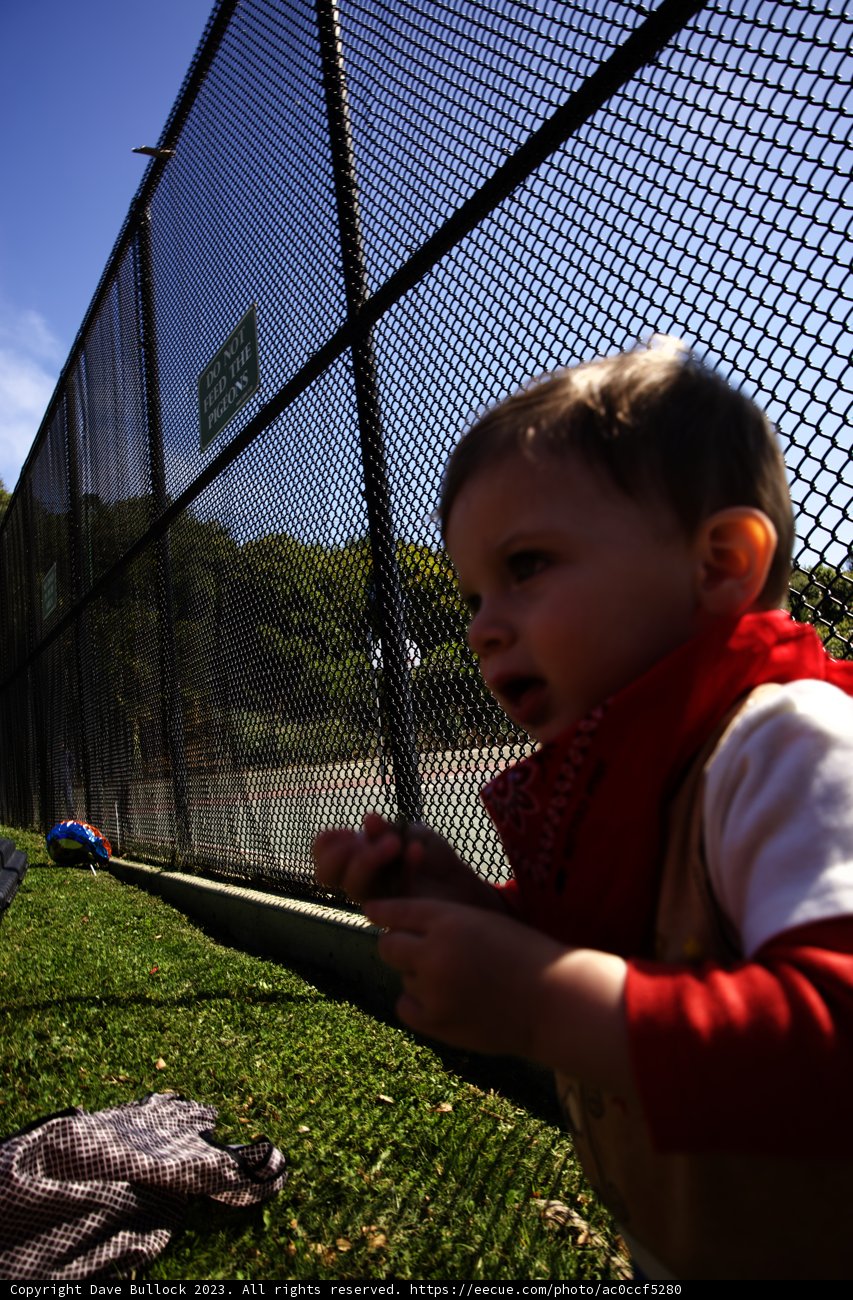 Baby's First Frisbee Fling