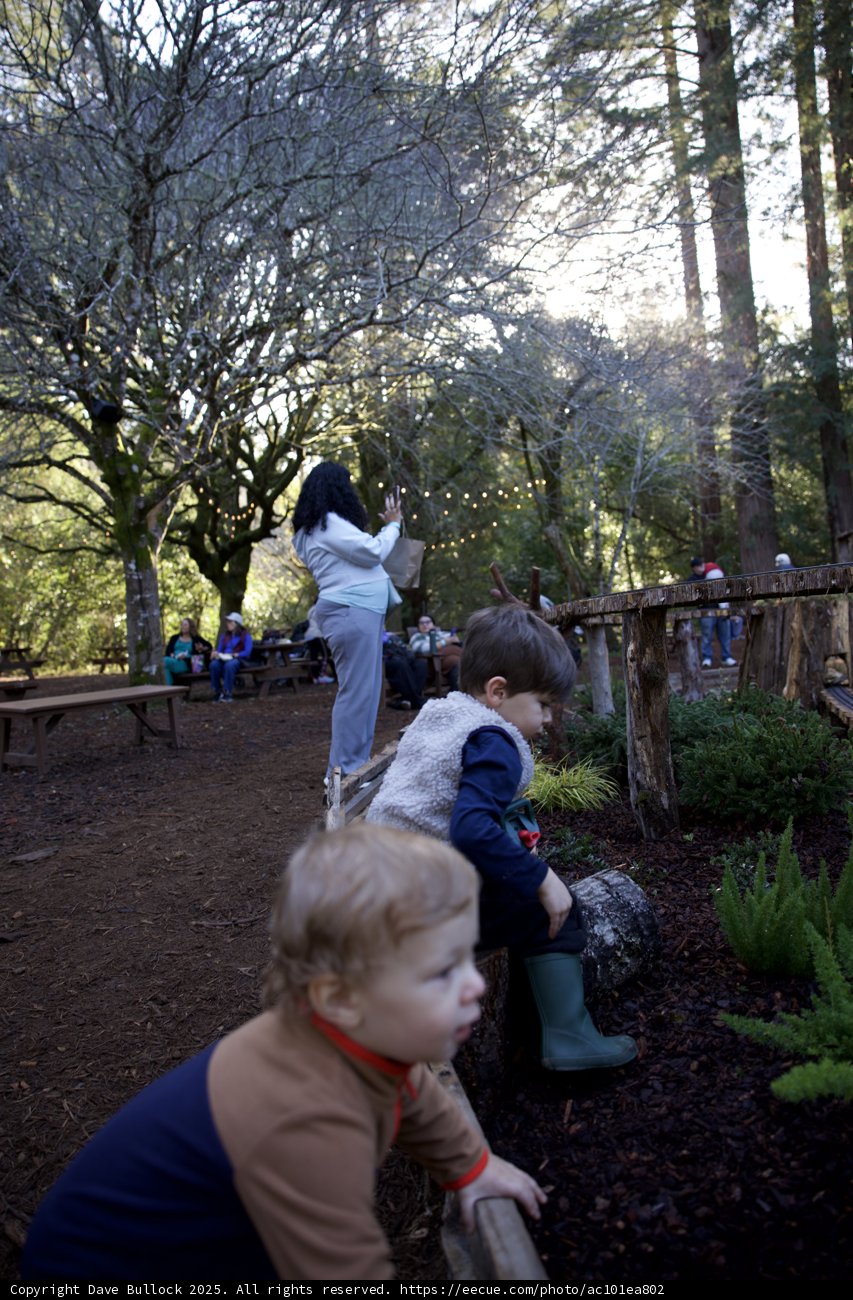 Autumn Adventure at Thistlewyck