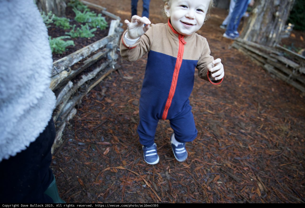 Little Adventurer at Thistlewyck