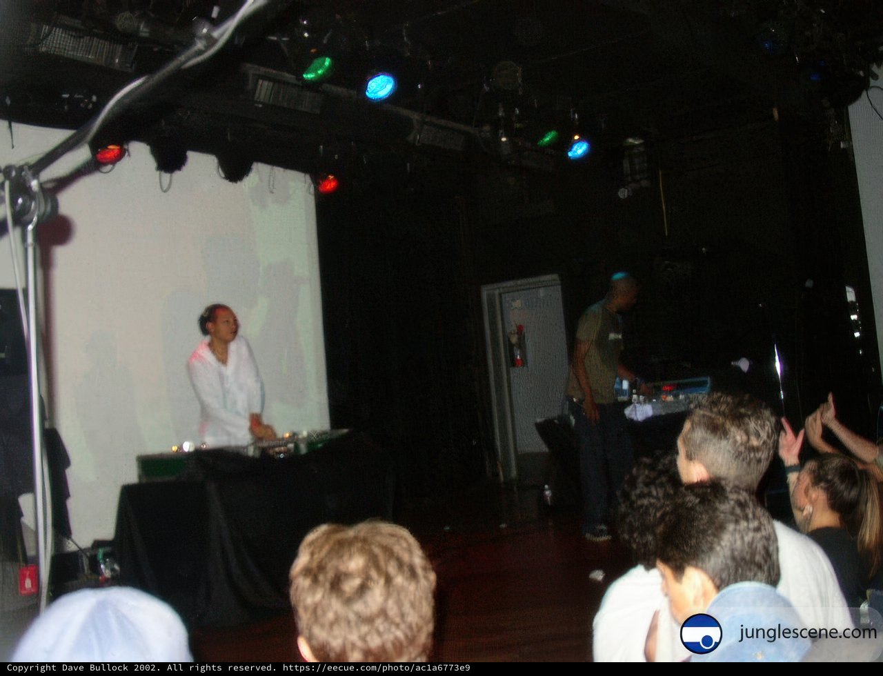 DJ Performance at Club