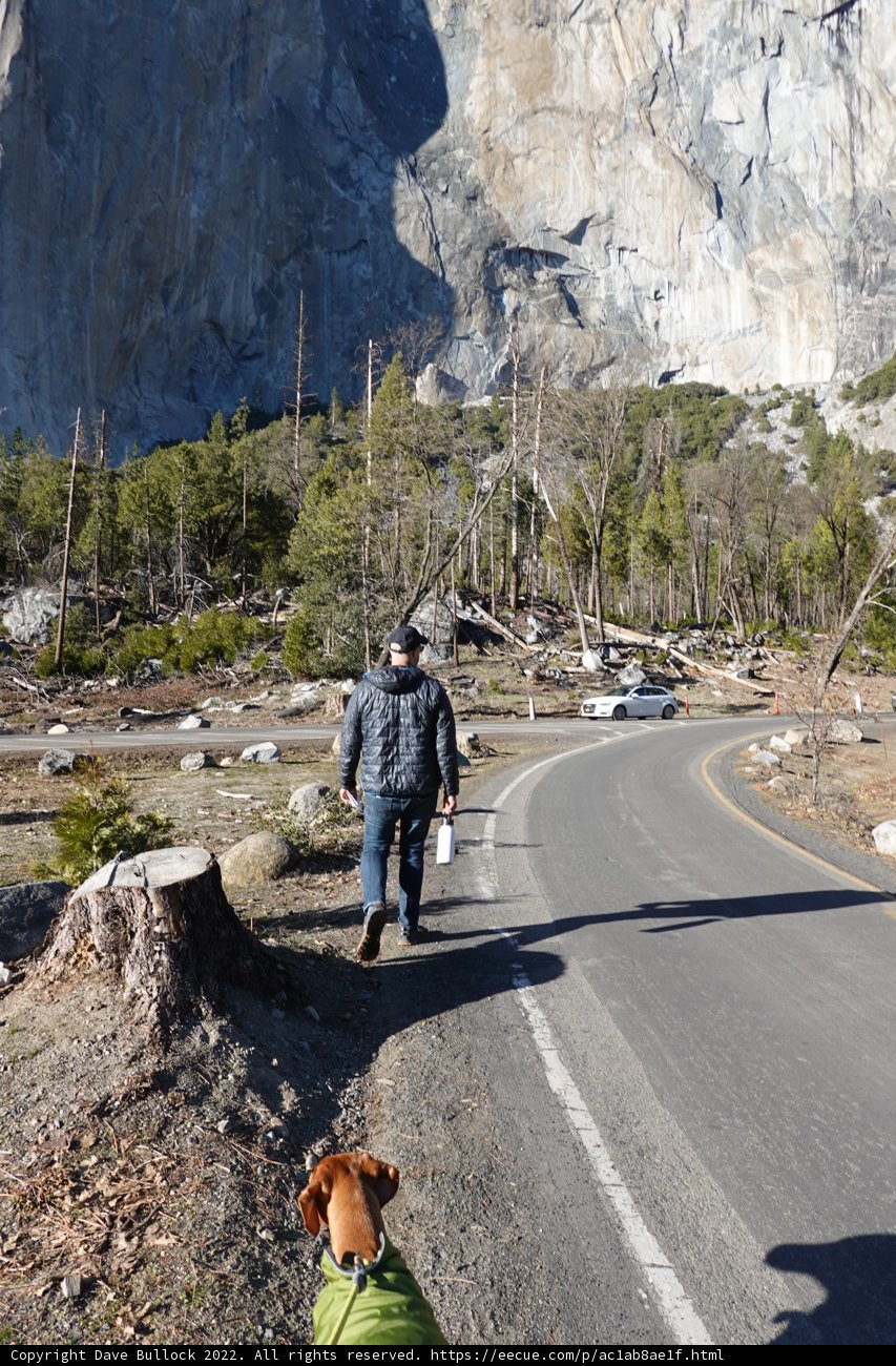Walking the Dog on a Mountainous Road