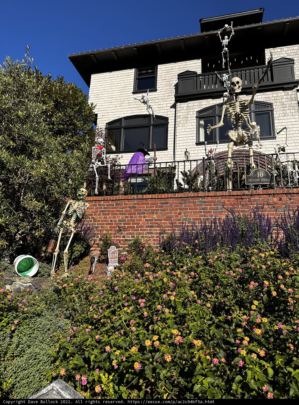 Spooky House with Skeleton Decorations