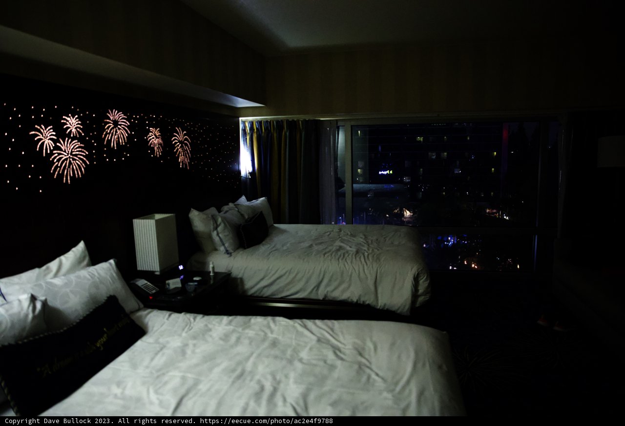 Tropical Paradise Hotel Room