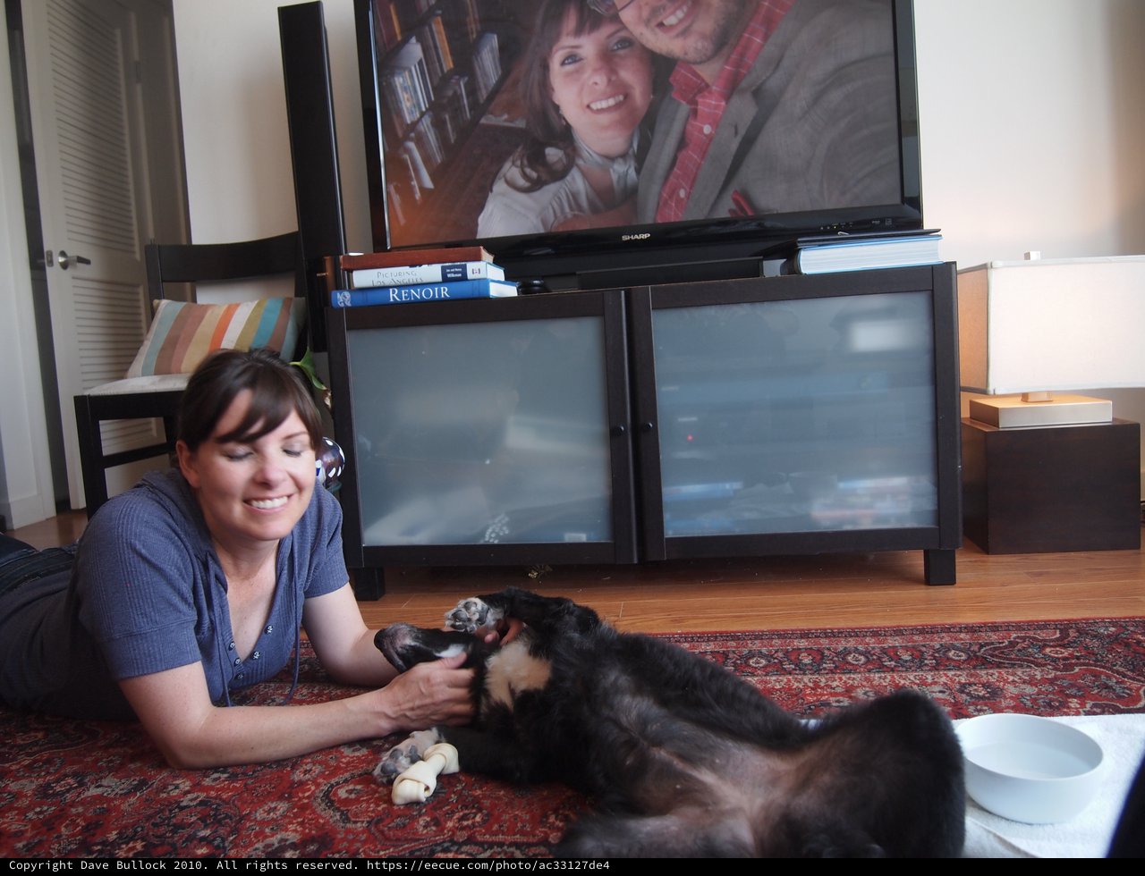 Woman Playing with Dog on Living Room Floor