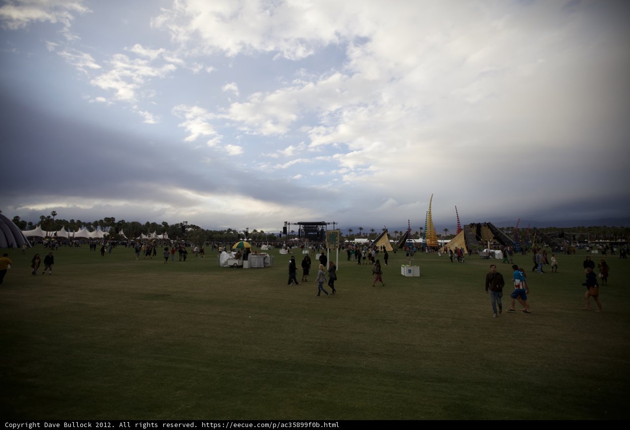 Festival Vibes on the Green Grass