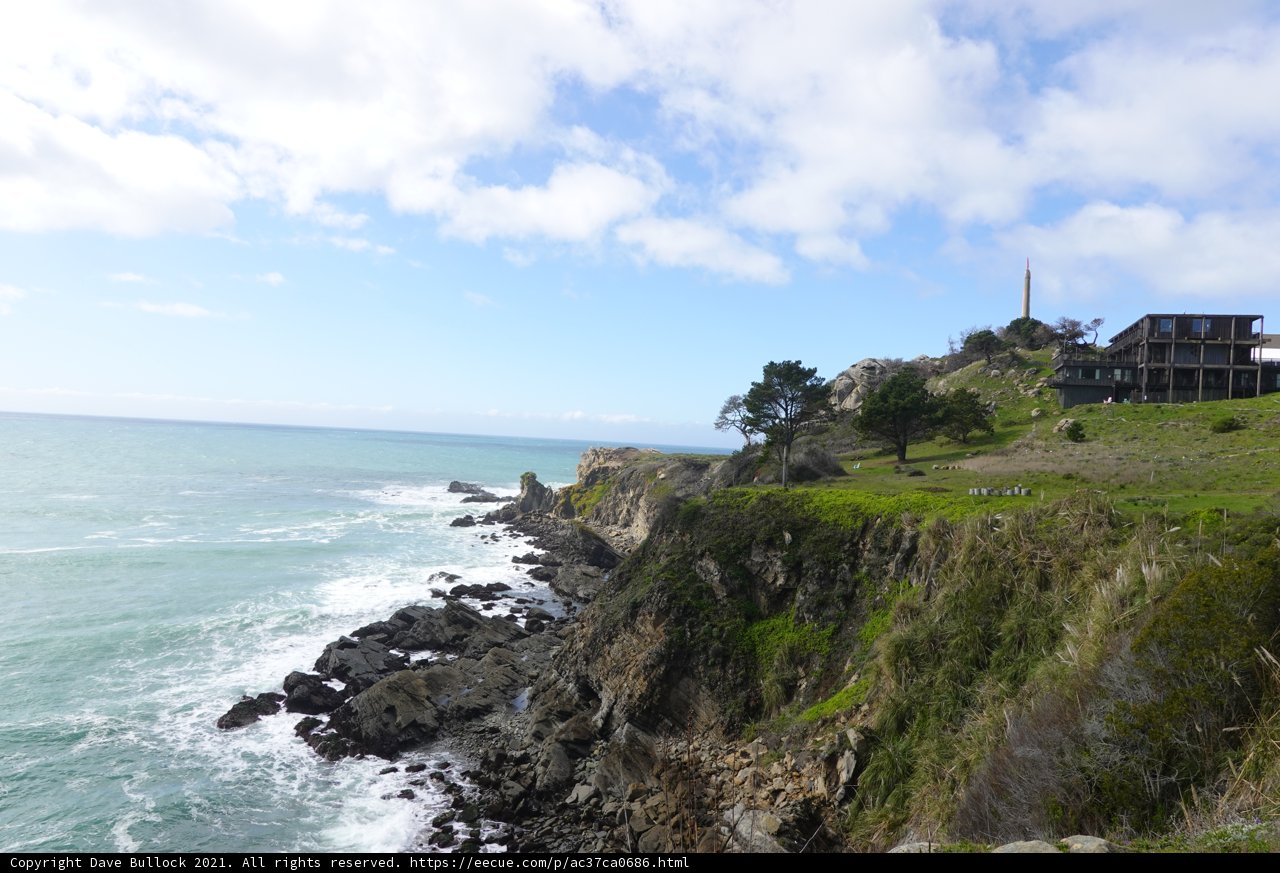 Coastal Oasis