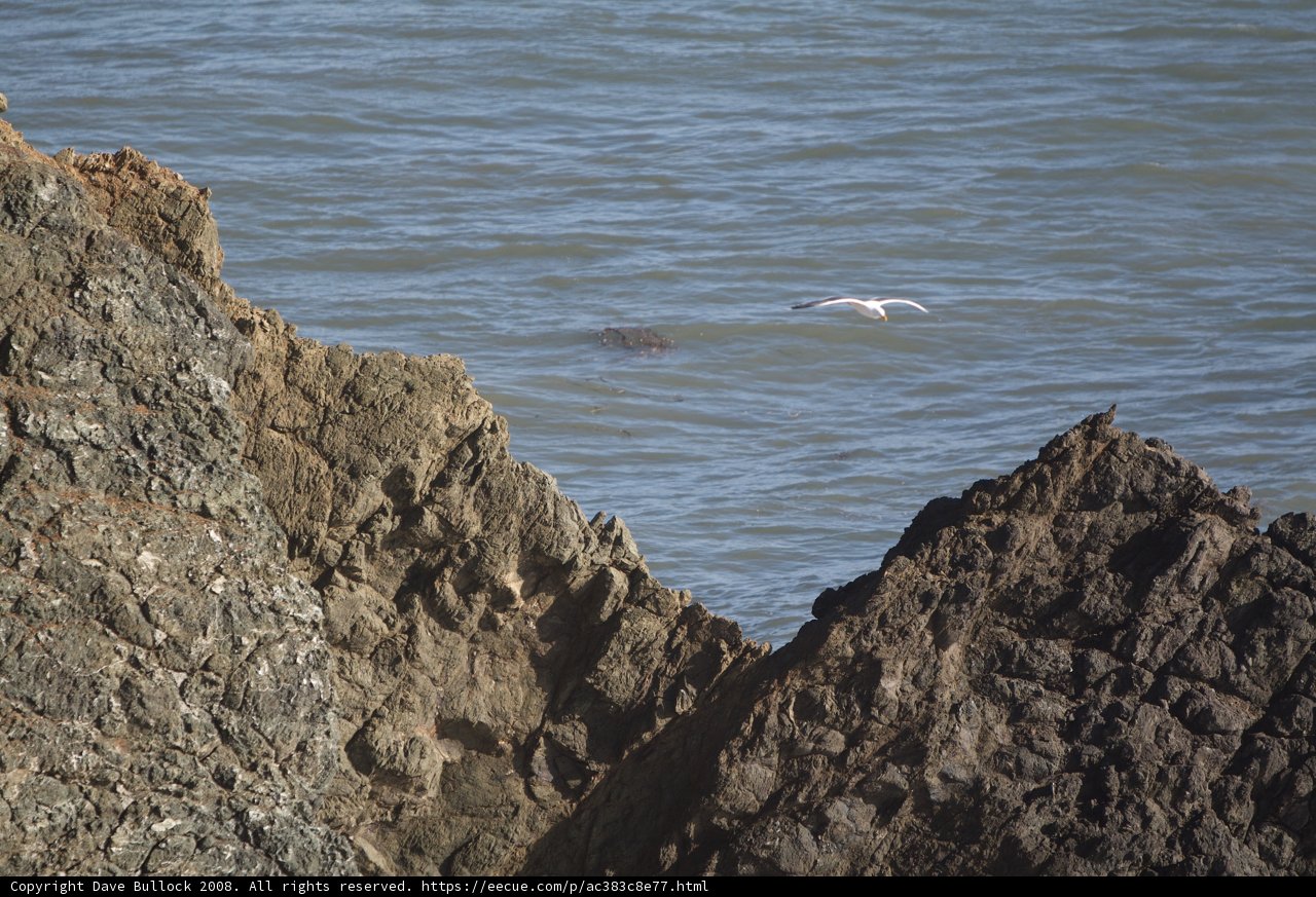 Flight Over the Promontory