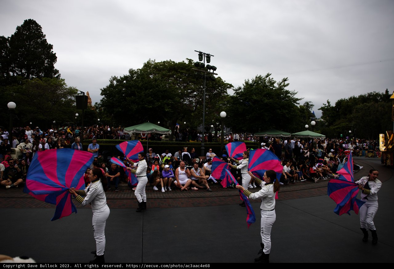 A Colorful Parade of Unity