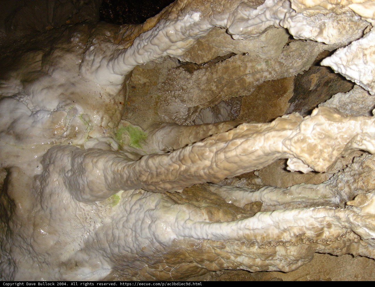 The Majestic Tree atop the Cave Rocks