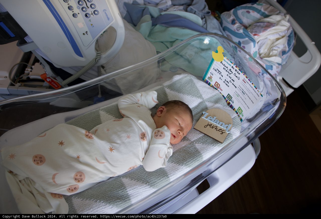 Welcome to the World, Leland