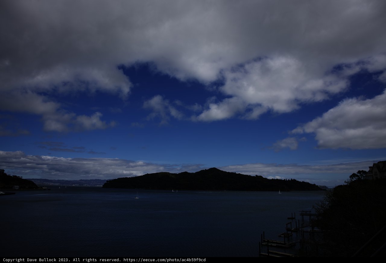Serene Bay View from Tiburon Hillside