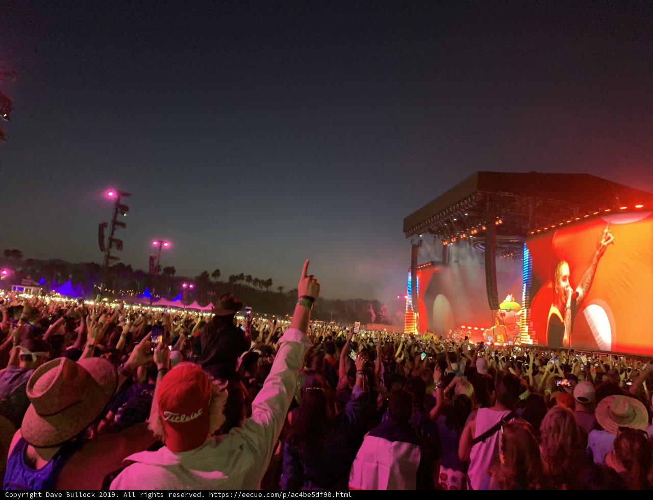 Music Festival Madness