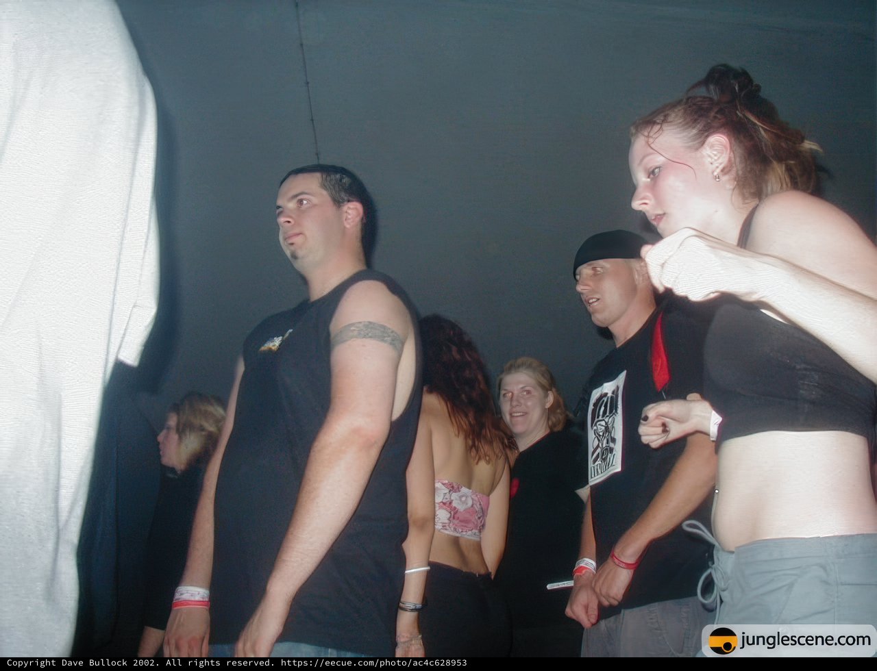 Night Club Gathering