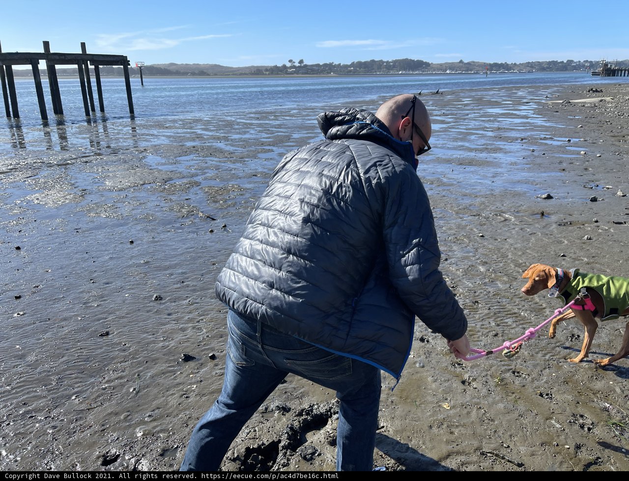 A Man and His Canine Companion Explore the Bodega Bay Beach