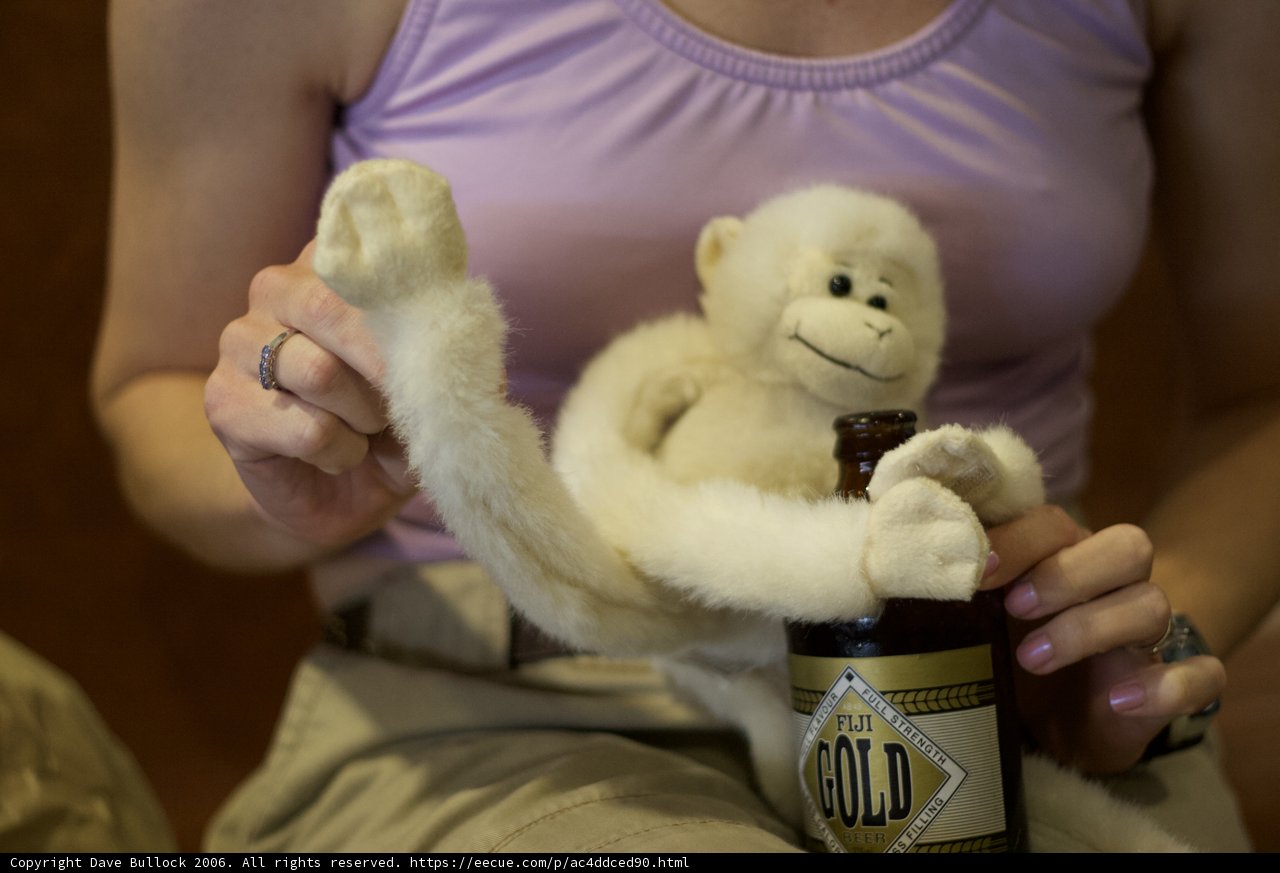 A Woman and Her Primate Pet