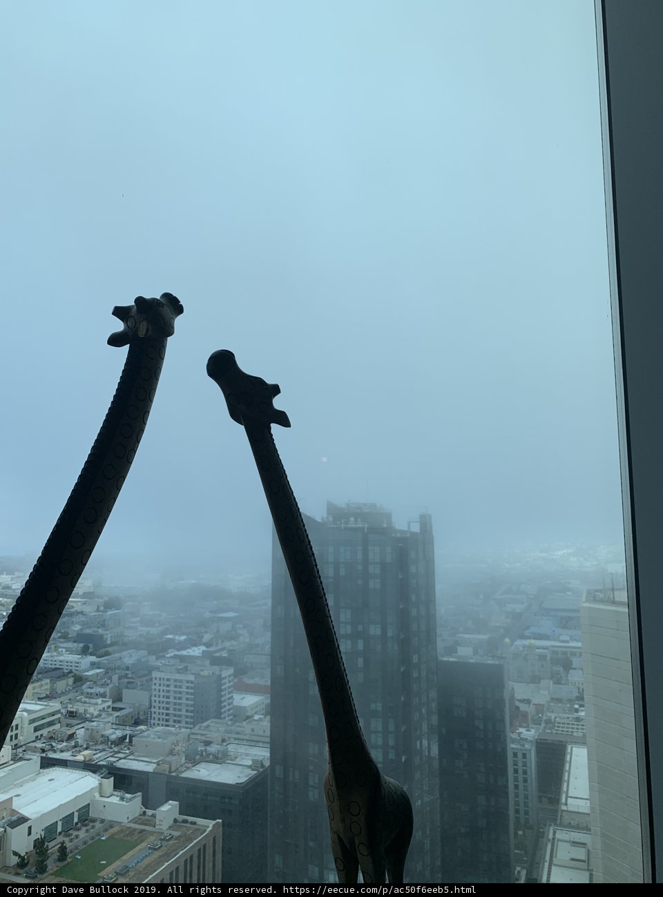 Giraffes on the Cityscape