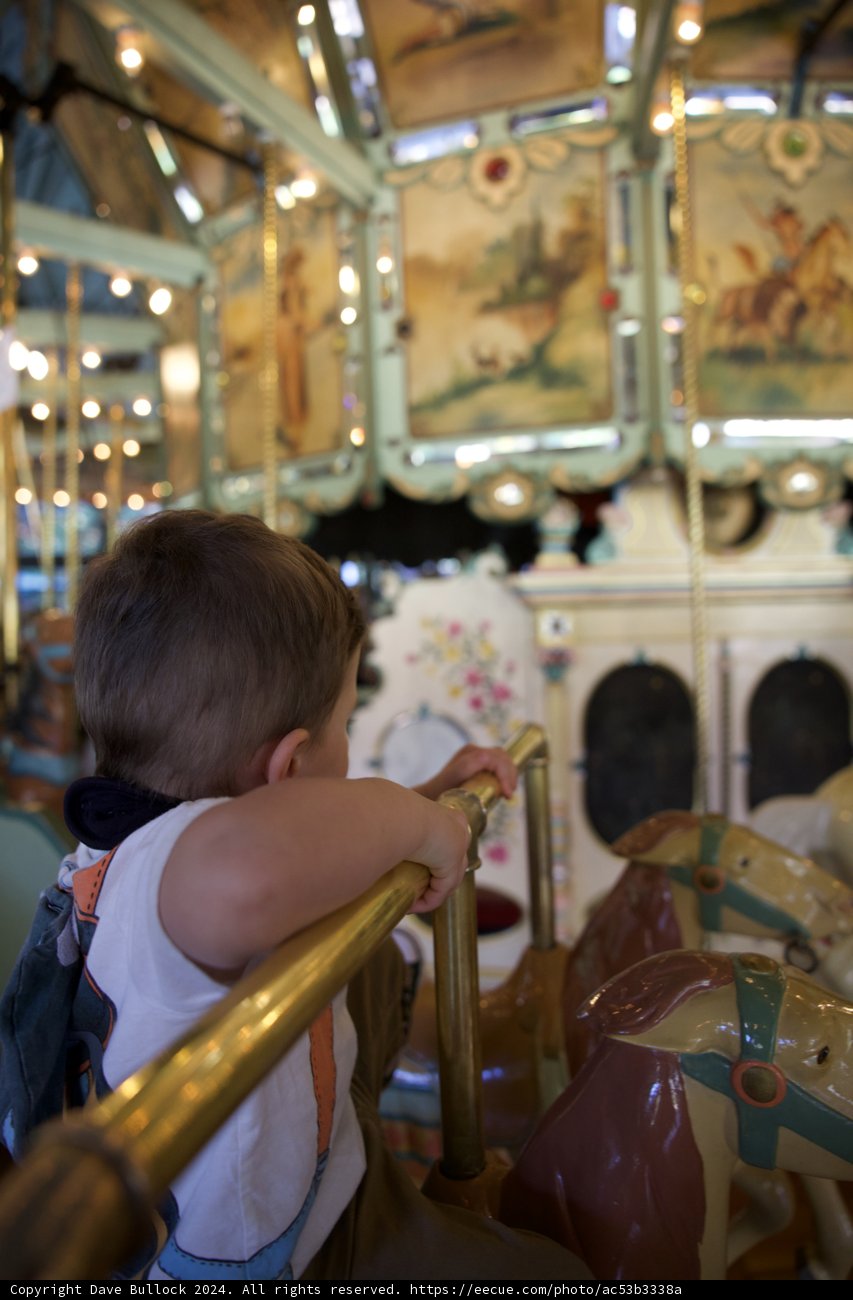 Joyful Rides at Tilden Carousel