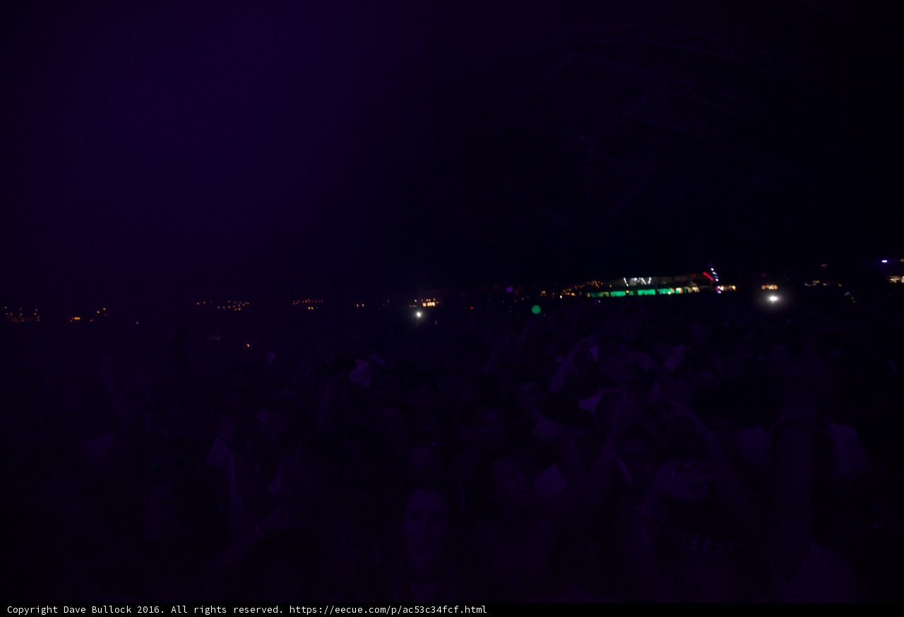 Electric Night
