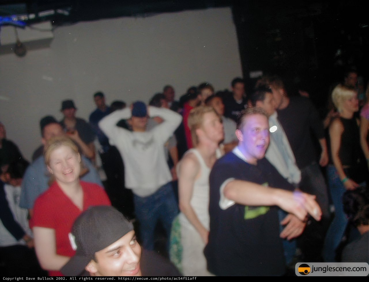 Nightclub Crowd