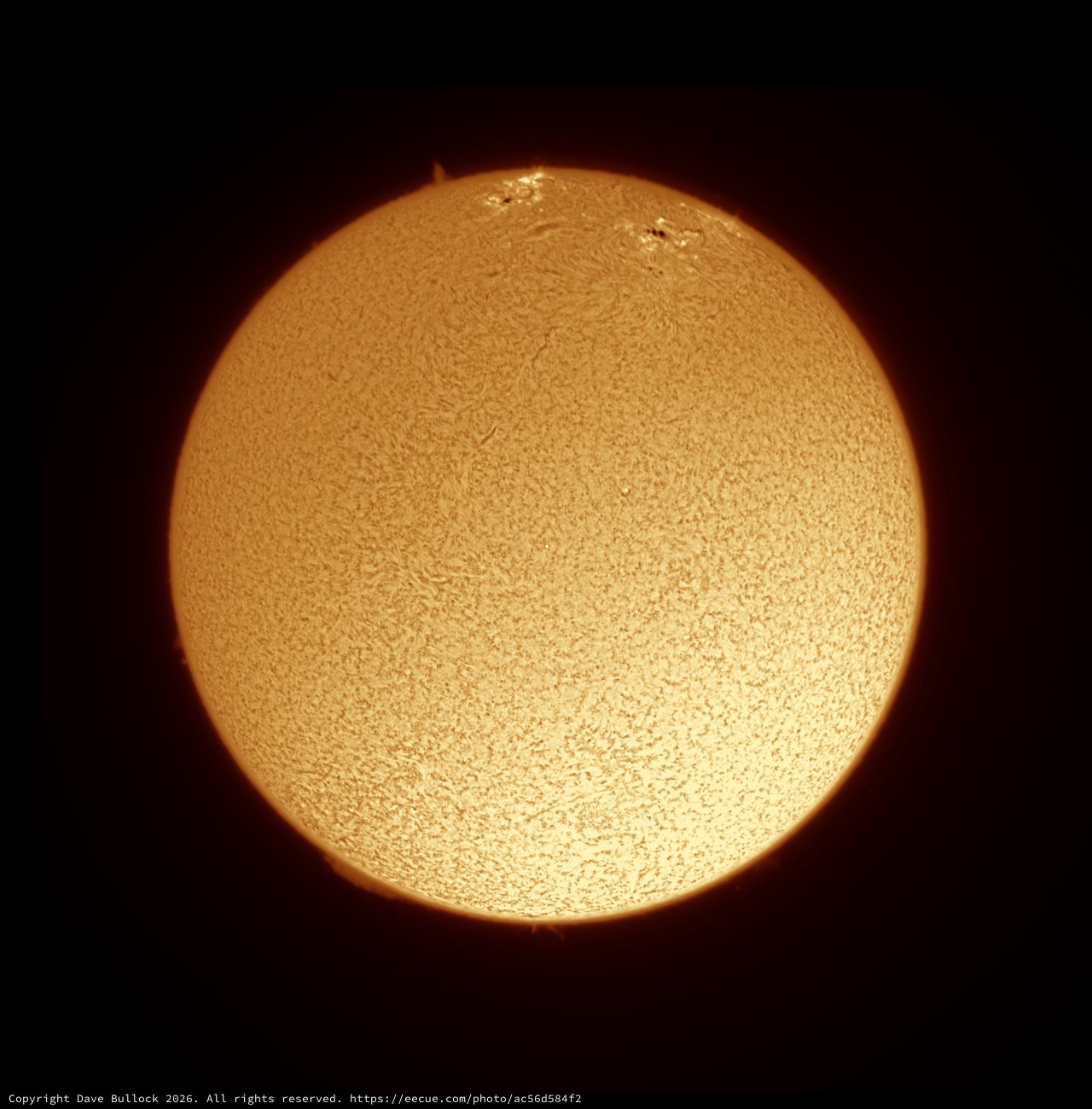 Hydrogen-Alpha Sun in Full Disk Glory, July 4 2026