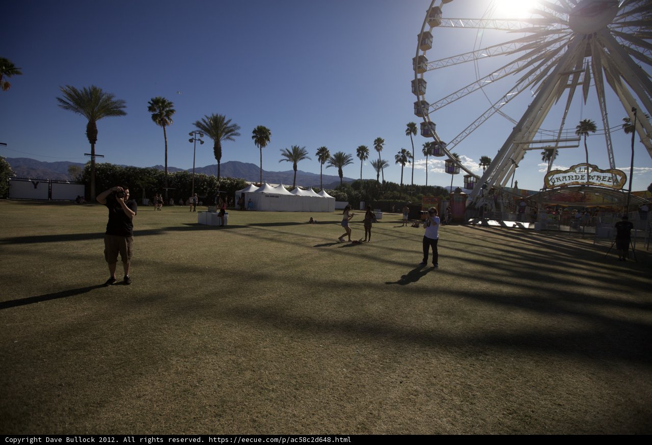 Ferris Wheel Fun at Coachella