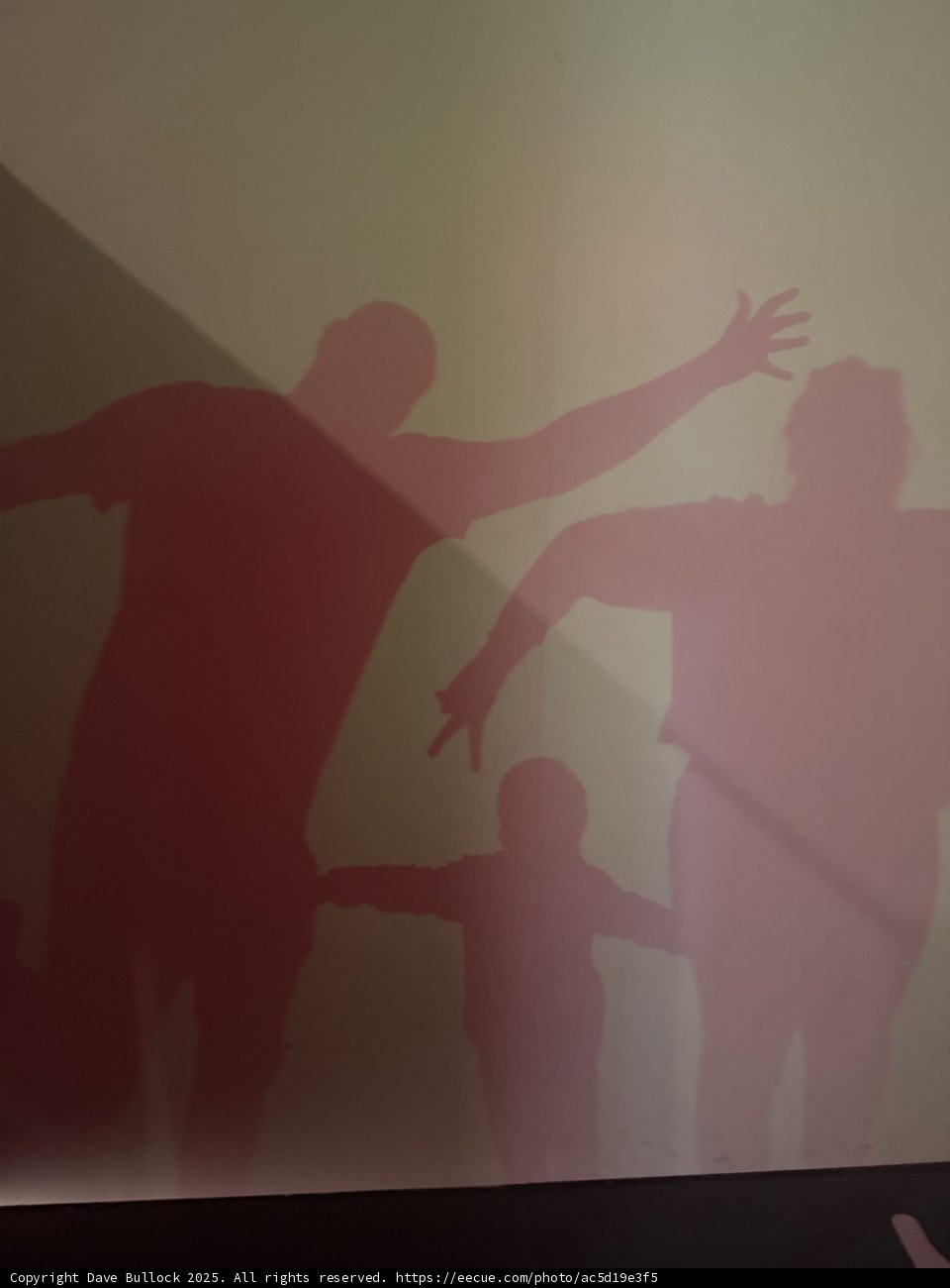 Shadows of Play
