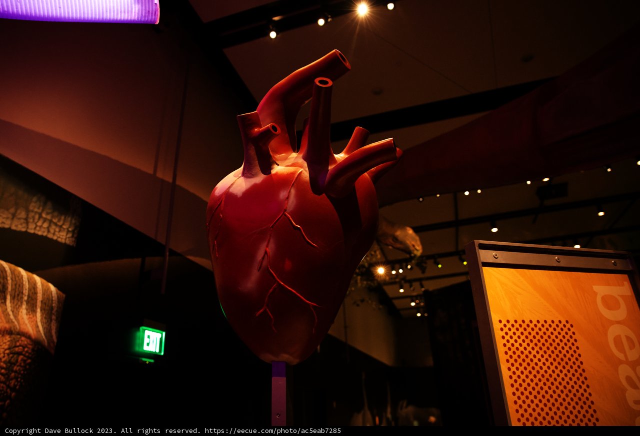 The Heart of Creativity