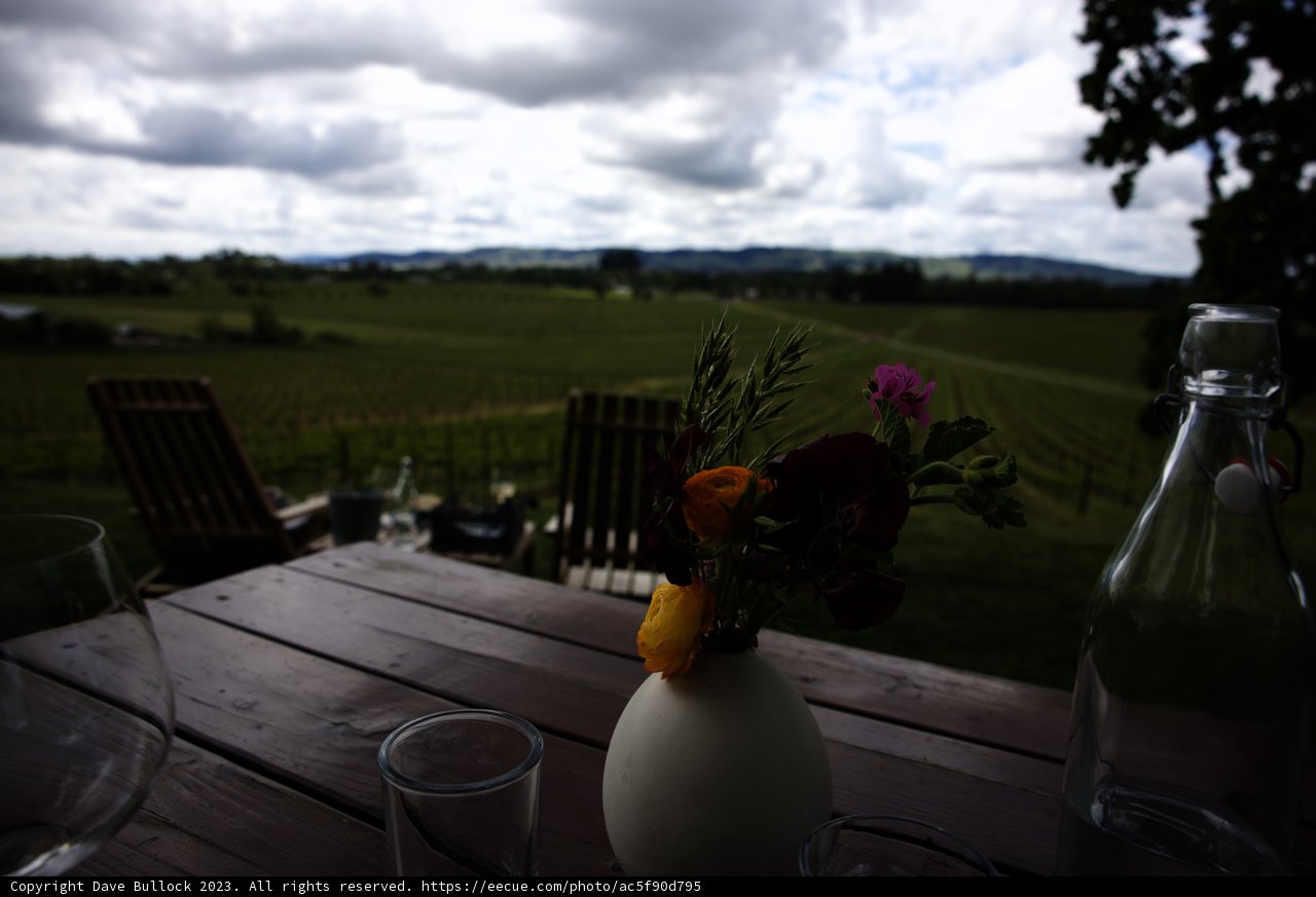 Enchanting Vineyard Lunch at Scribe Winery