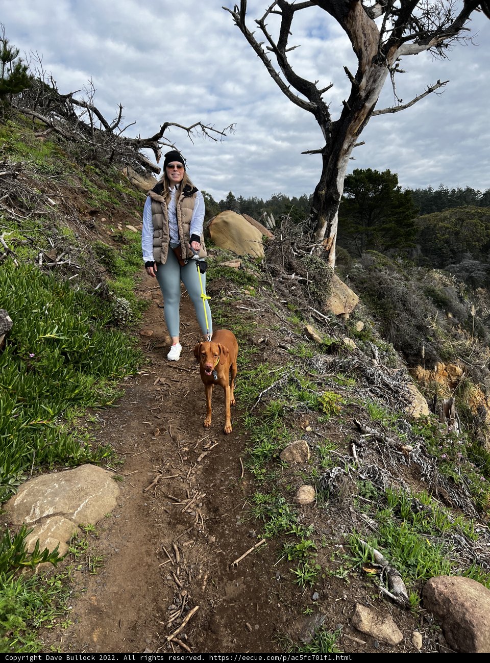 A Peaceful Hike with My Furry Friend