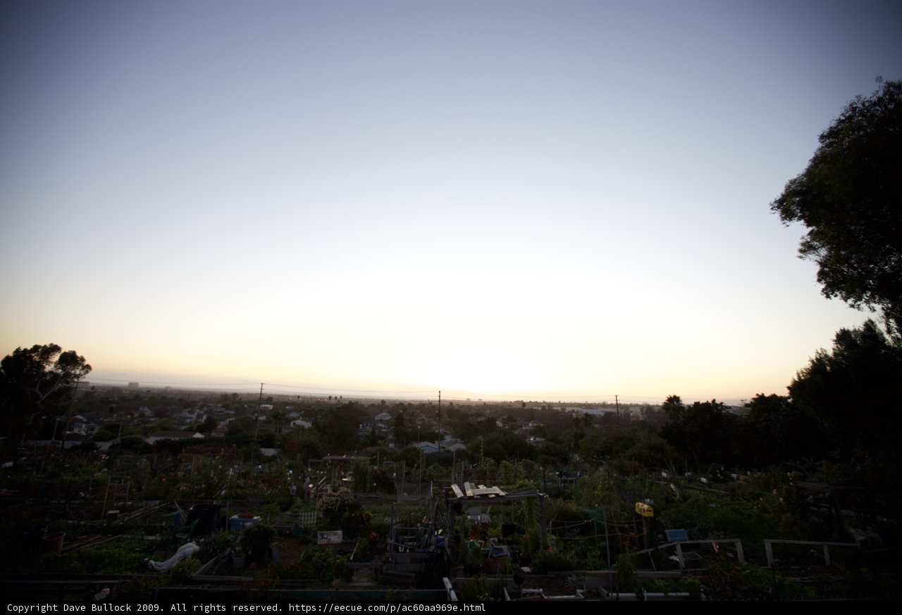 Top of the Hill Sunset