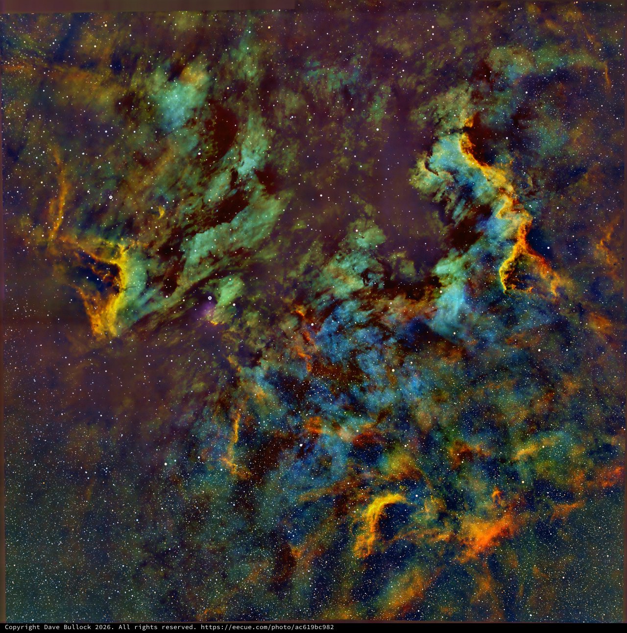 North America and Pelican Nebulae in SHO Narrowband Palette