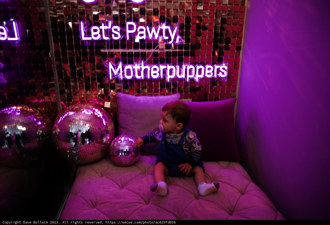 Magical Moments with Baby