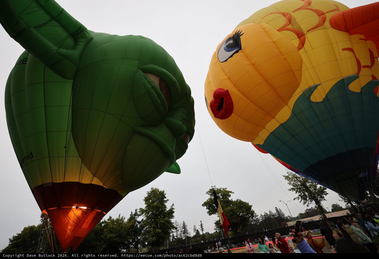 Giant Character Balloons Face Off at Sonoma Classic