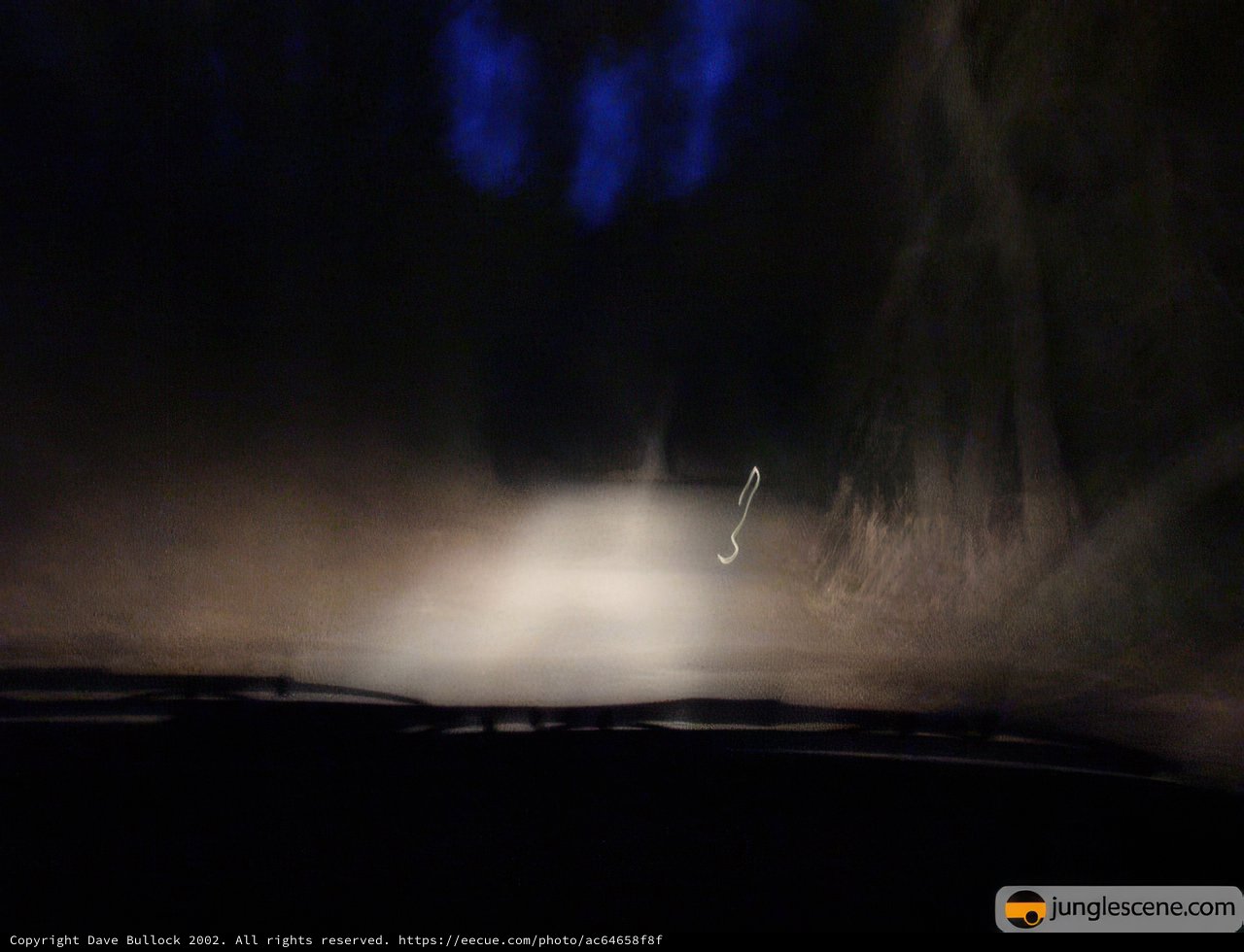 Night Drive