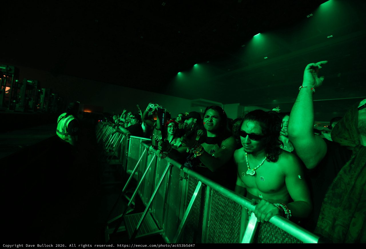 Crowd Surges at Wobbleland 2026 Under Green Lights