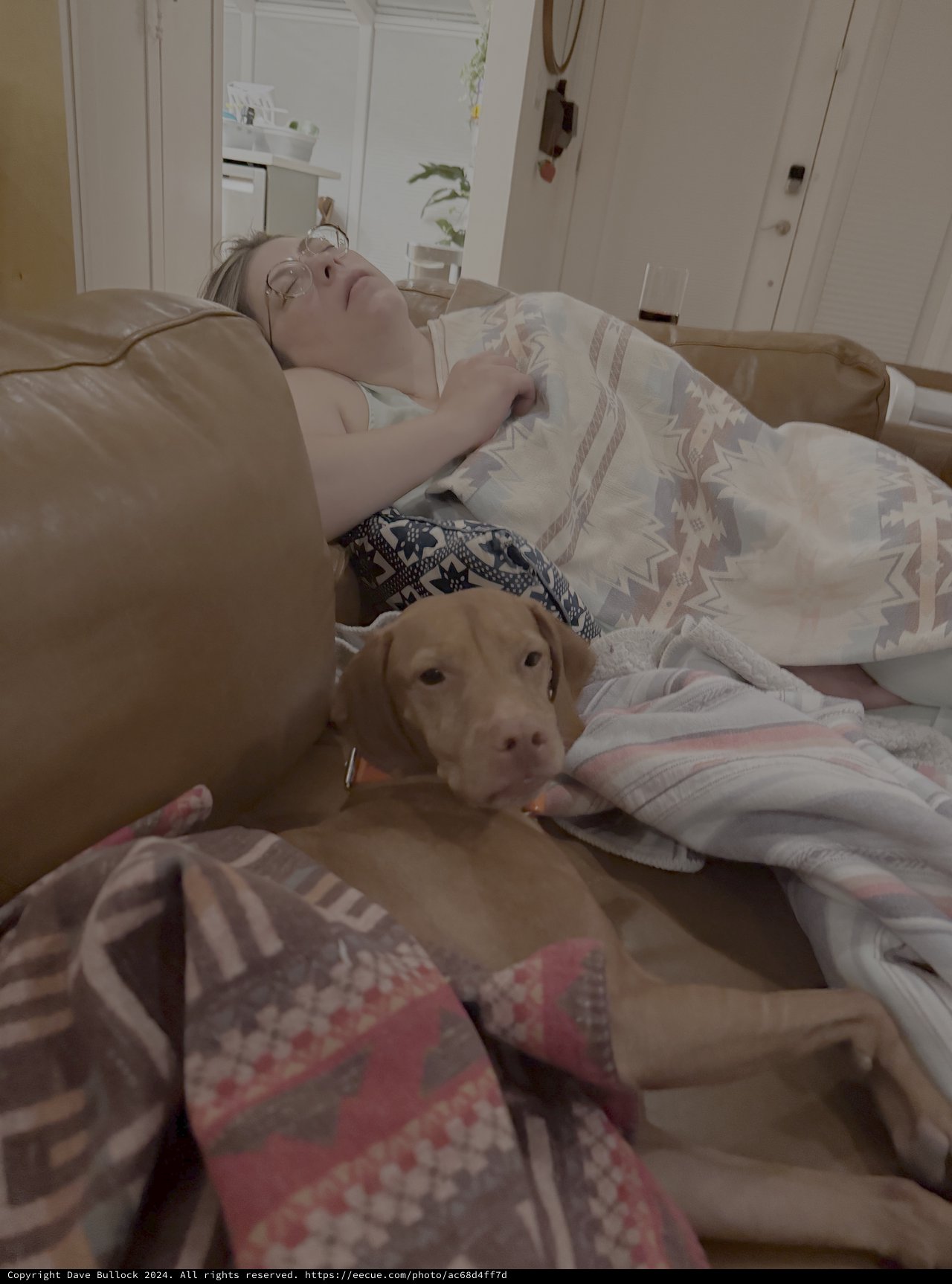 Peaceful Morning Rest with Beloved Dog