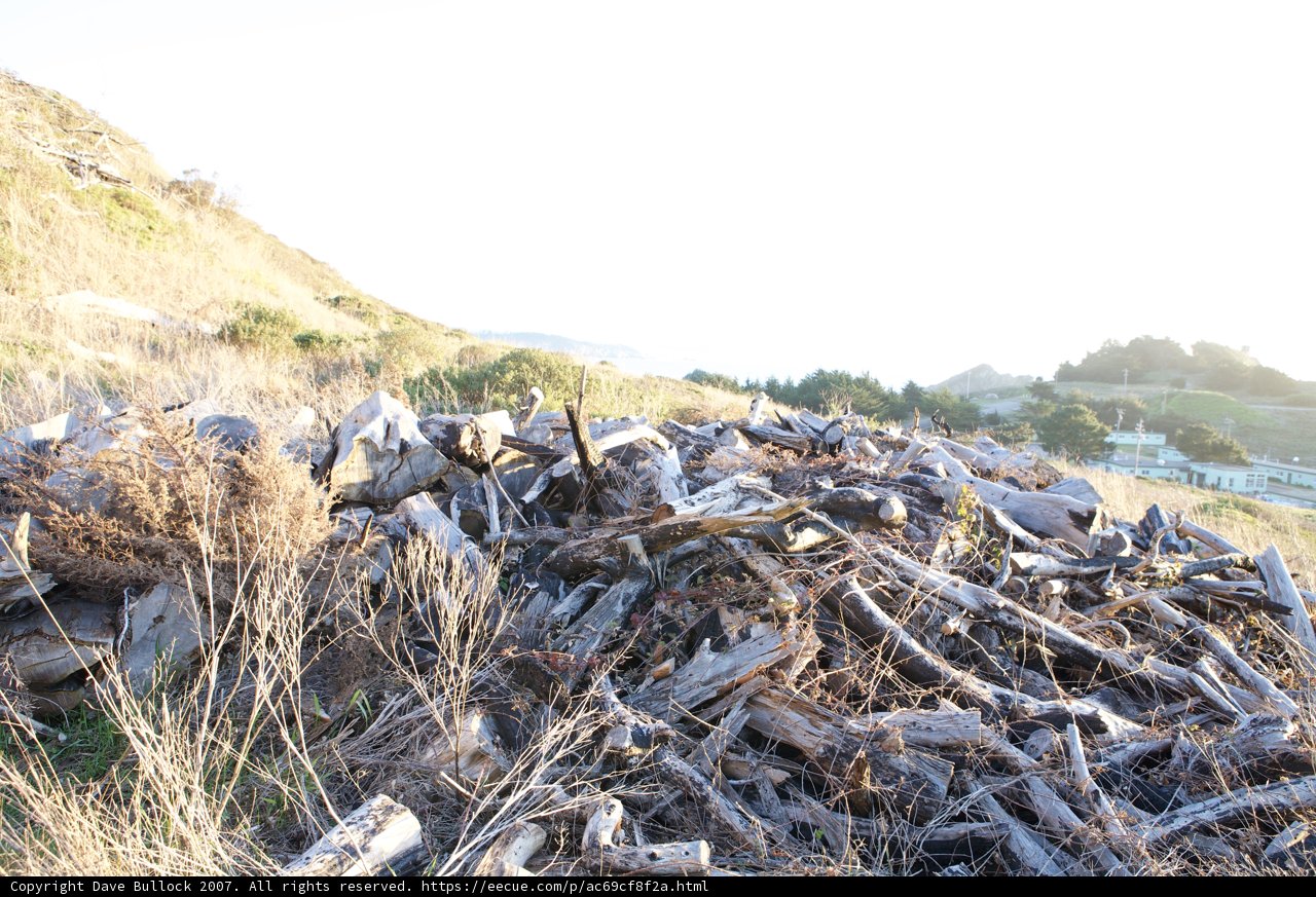 Wood Pile on the Hill