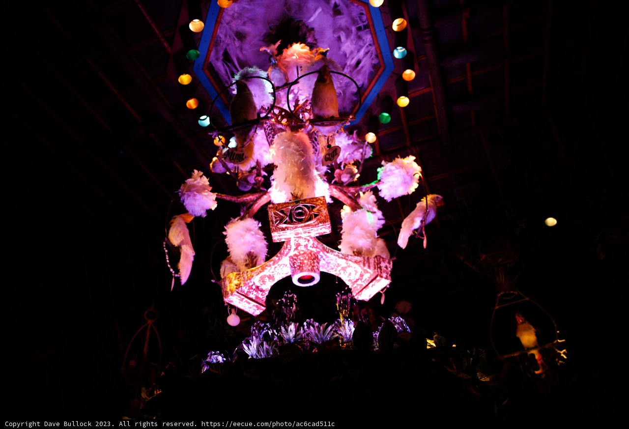 A Mesmerizing Chandelier Encounter