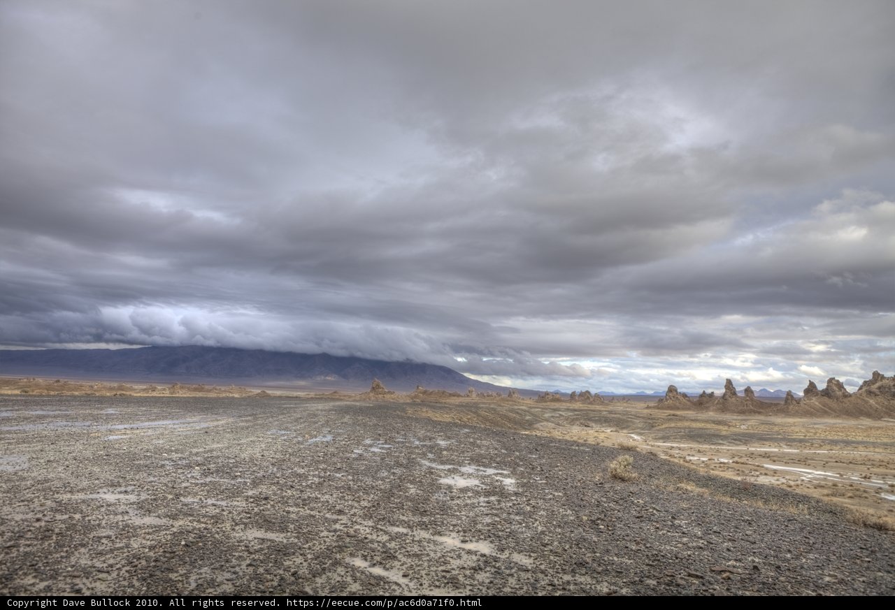 Bleak Beauty