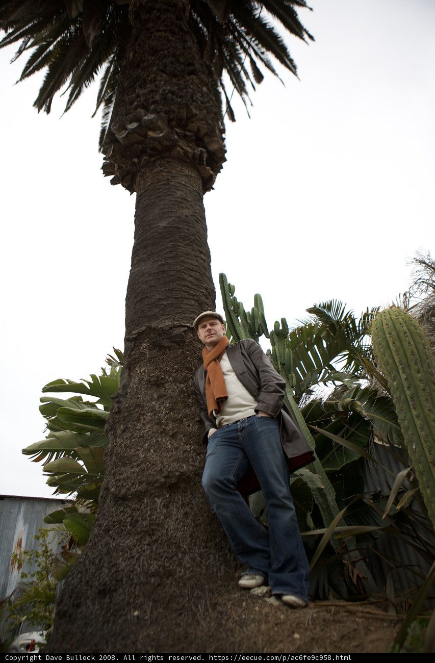Casual Cool by the Palm Trees