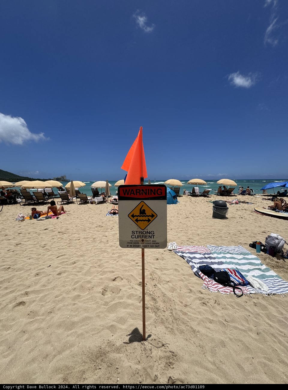 Caution and Calm: A Day at Waikiki Beach