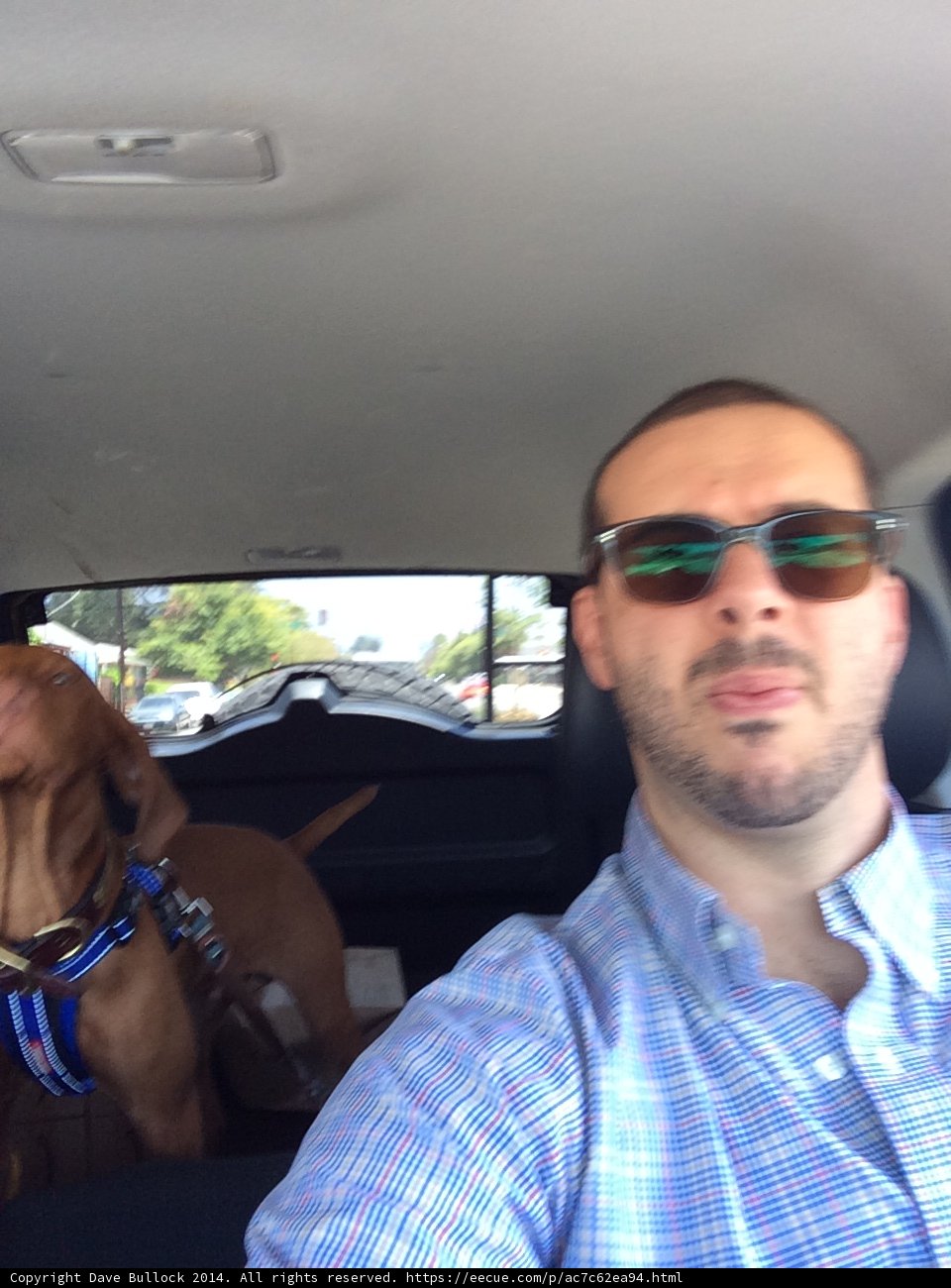 Road Trip Buddies
