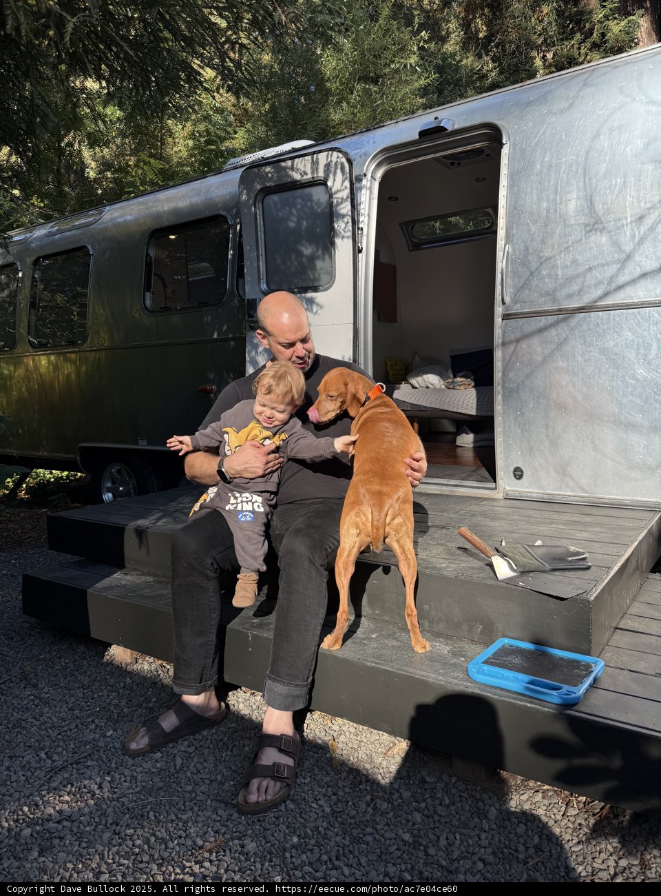 Morning Companions in Guerneville