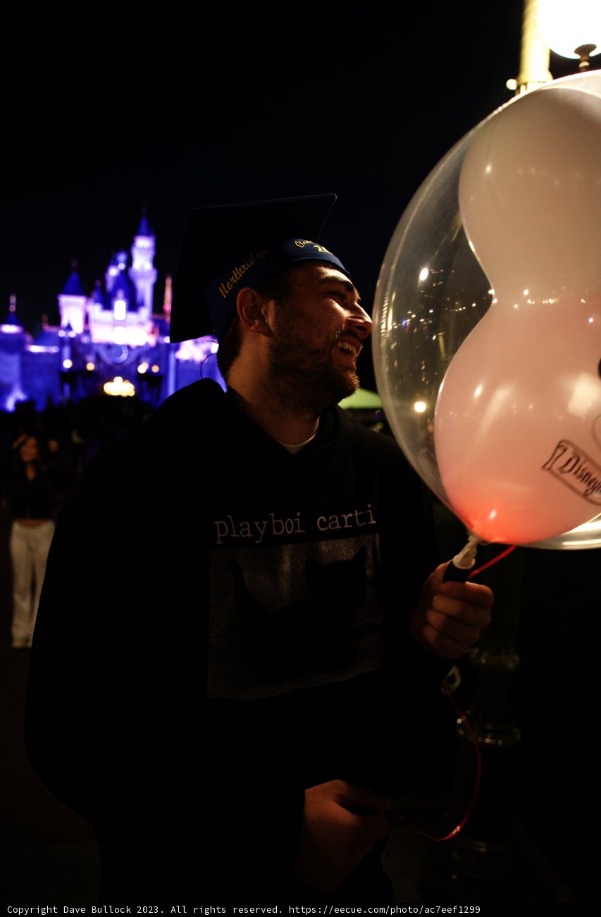 Magical Night of Celebration