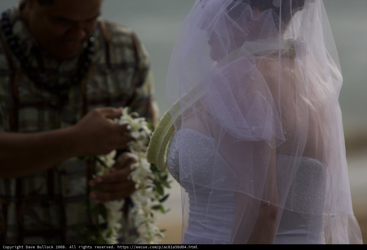 A Hawaiian Wedding