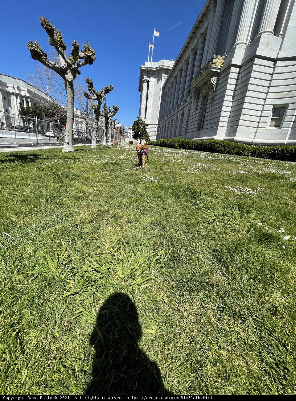 Walking with My Trusty Friend